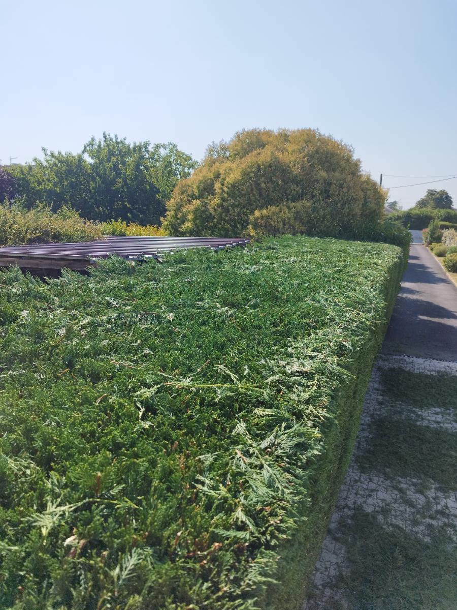 Chantier d'entretien de jardin réalisé par Pascal le Jardinier, paysagiste du réseau Factotum, près de Berat