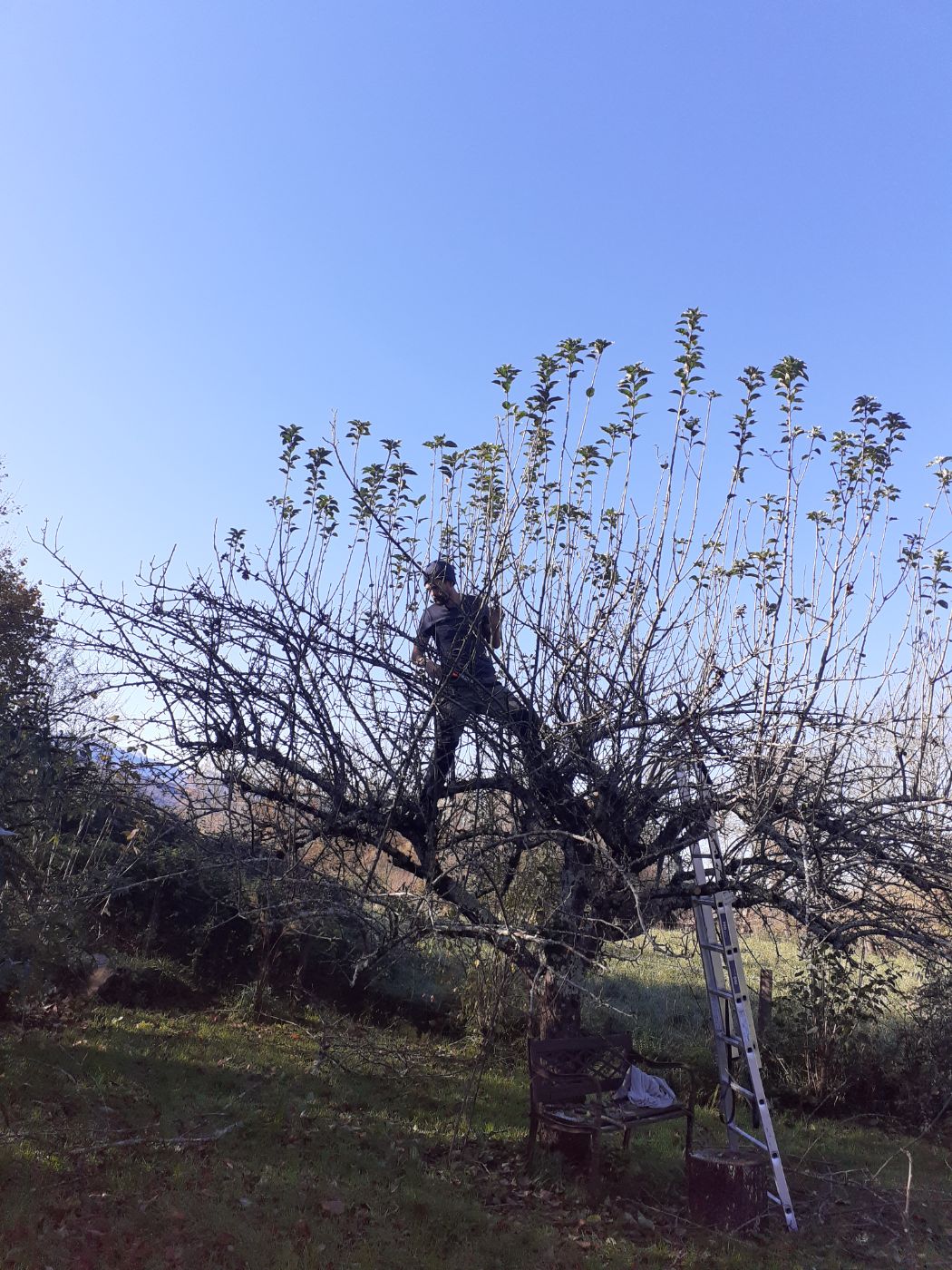 Chantier d'entretien de jardin réalisé par Thibaud Zerr, paysagiste du réseau Factotum, près de Durban-sur-Arize