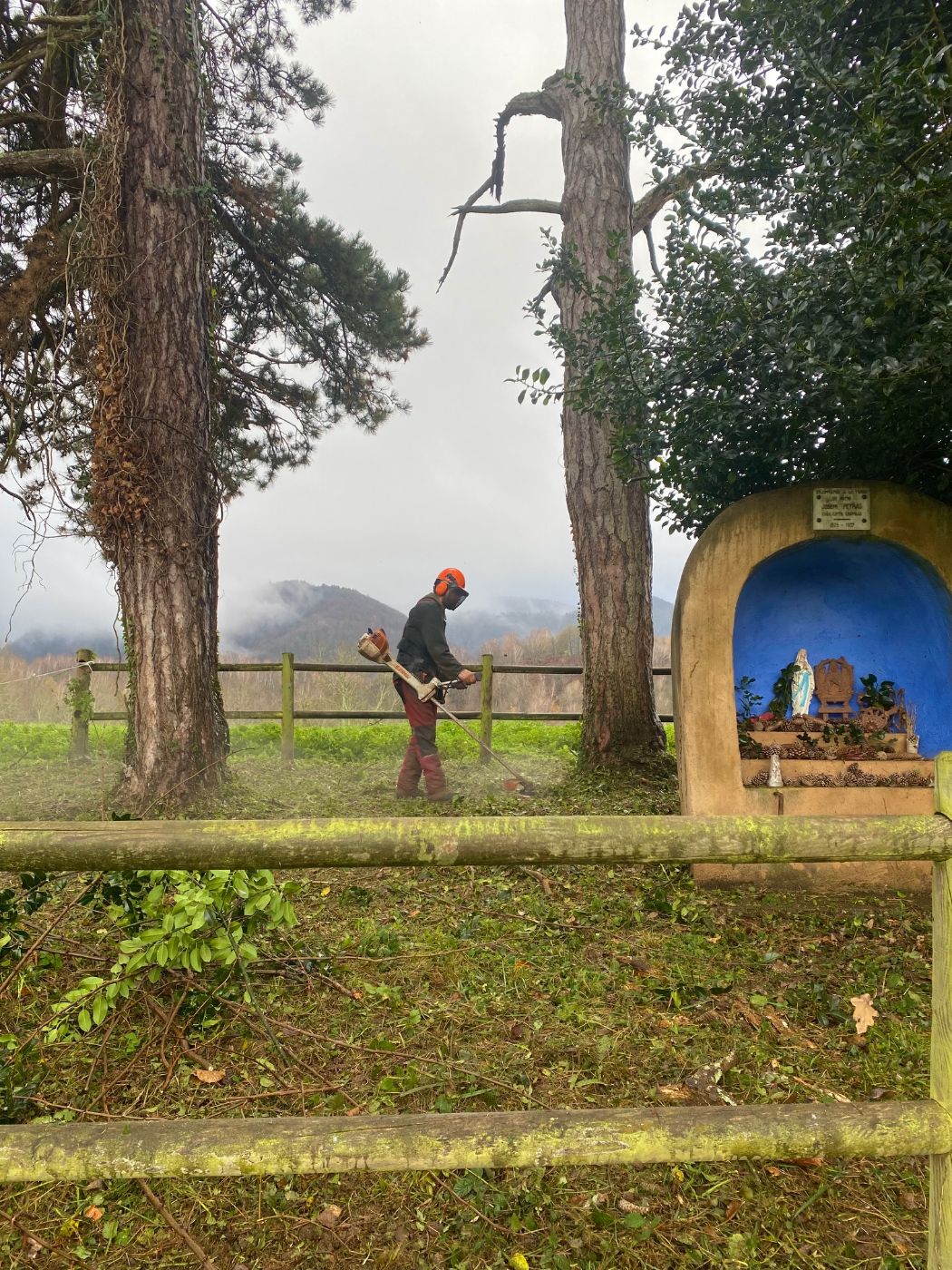 Chantier d'entretien de jardin réalisé par Thibaud Zerr, paysagiste du réseau Factotum, près de Durban-sur-Arize